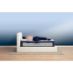 Perfect Sleeper Blue Lagoon Nights Plush Plush Serta 11