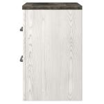 Gerridan Nightstand Nightstands Ashley Furniture 26