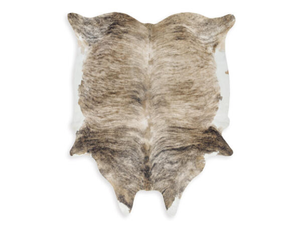 Sportsmen 6’5″ x 7’11” Rug Rugs Ashley Furniture