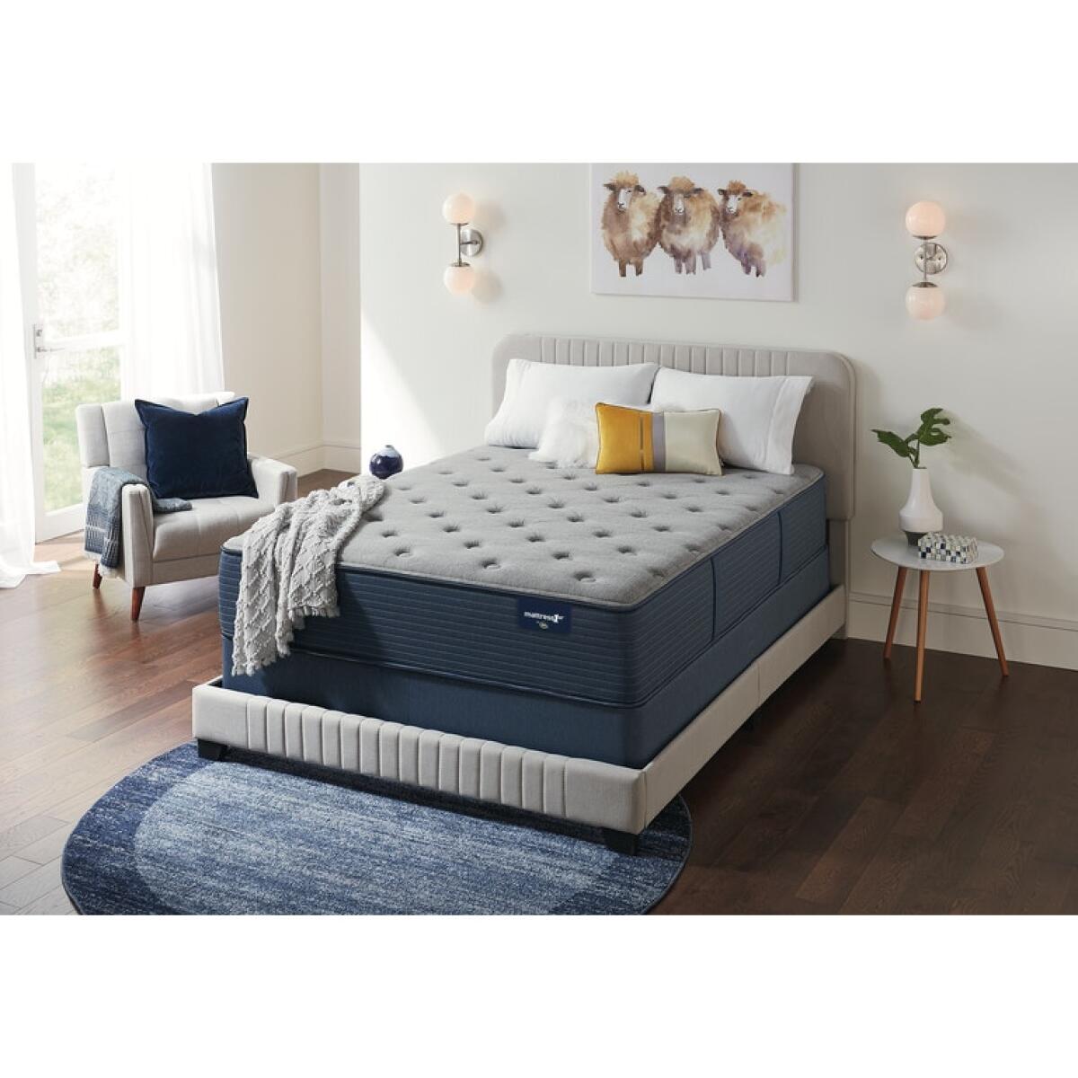 Edenvale Plush Mattress by Mattress 1st California King Mattress 1st 5