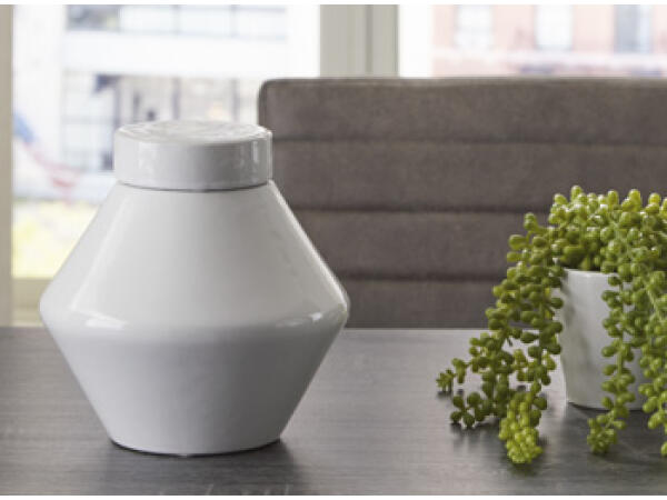 Domina Jar Accents Ashley Furniture