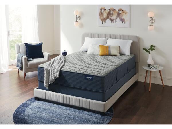 Edenvale Extra Firm Mattress by Mattress 1st California King Back Sleeper 6