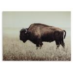 Brutus Wall Art Art Ashley Furniture 14