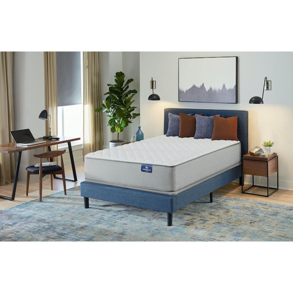 Presidential Suite Firm Mattress California King Back Sleeper 4
