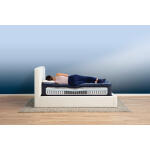 Perfect Sleeper Cobalt Calm Plush Full Serta 9