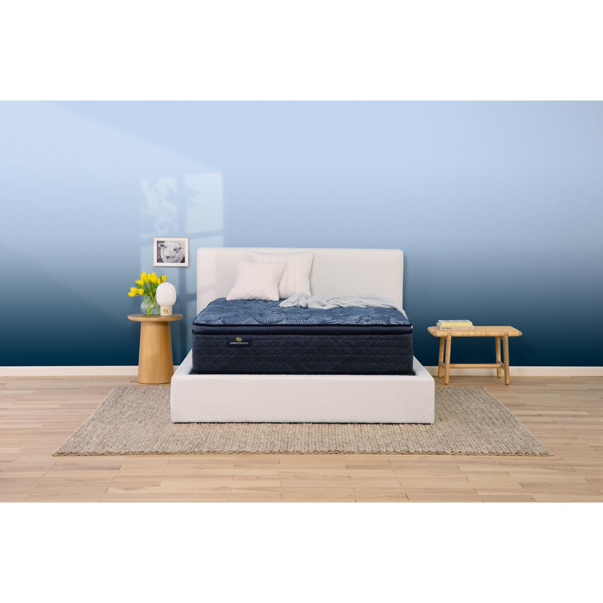 Perfect Sleeper Cobalt Calm Medium Pillow Top California King All Positions 7